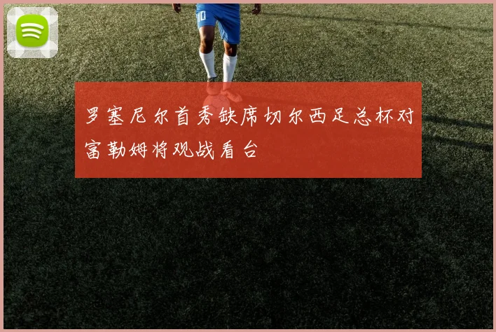 罗塞尼尔首秀缺席切尔西足总杯对富勒姆将观战看台