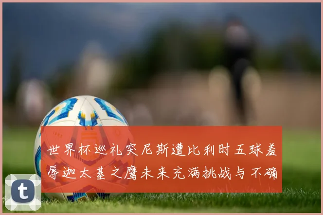 世界杯巡礼突尼斯遭比利时五球羞辱迦太基之鹰未来充满挑战与不确定性
